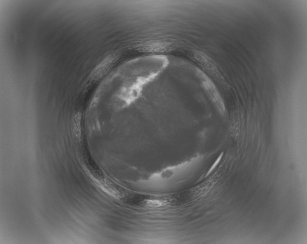 X0000058760167200510171209