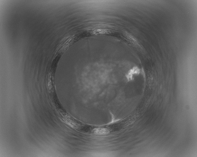 X0000058760169200510171209