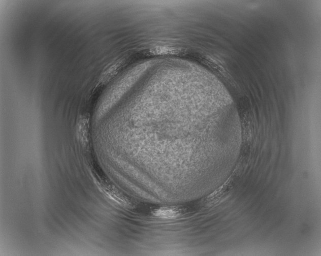X0000058760171200510171209