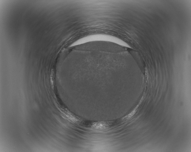 X0000058760174200510171209