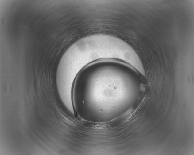 X0000058760175200510171209