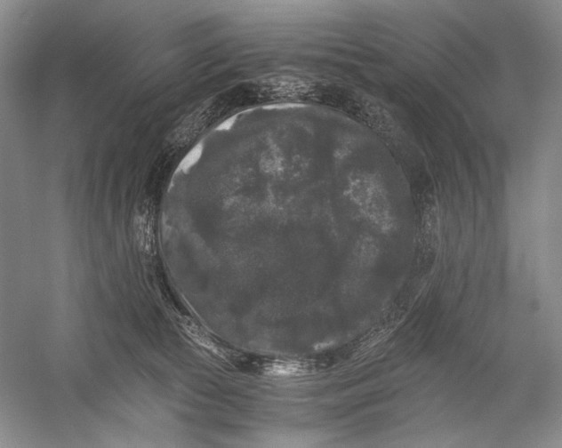 X0000058760177200510171209