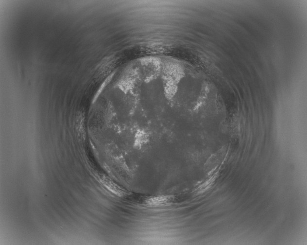 X0000058760178200510171209