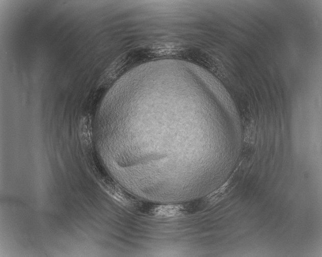 X0000058760179200510171209