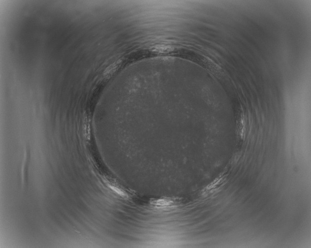 X0000058760180200510171209