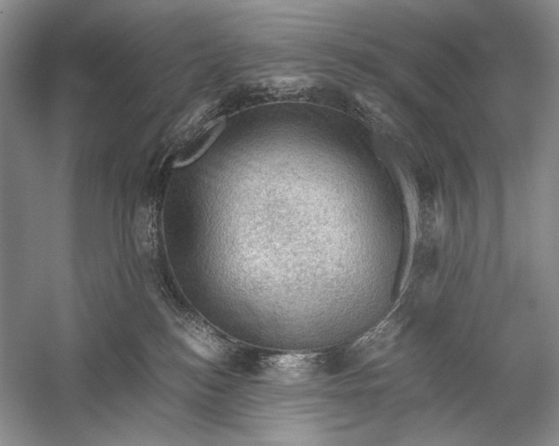 X0000058760184200510171209