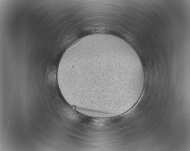 X0000058760190200510171209