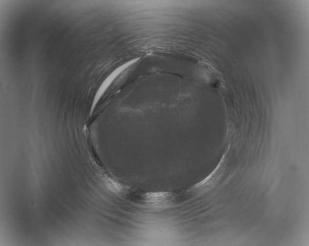 X0000058760192200510171209