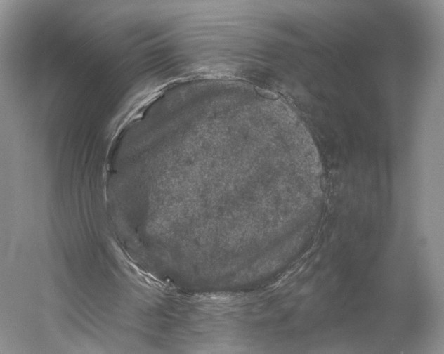 X0000058760194200510171208