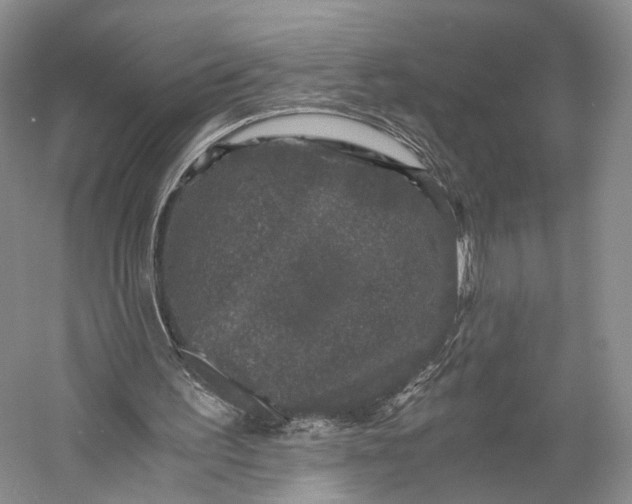 X0000058760195200510171208