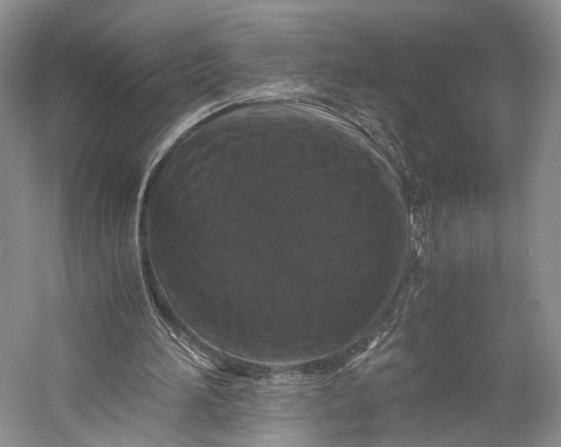 X0000058760196200510171208