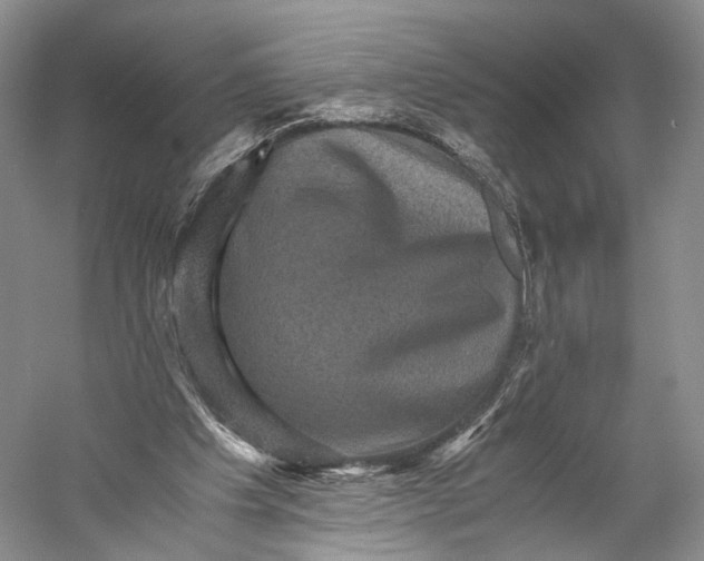 X0000058760201200510171208