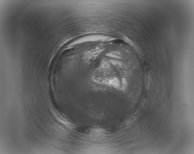 X0000058760203200510171208