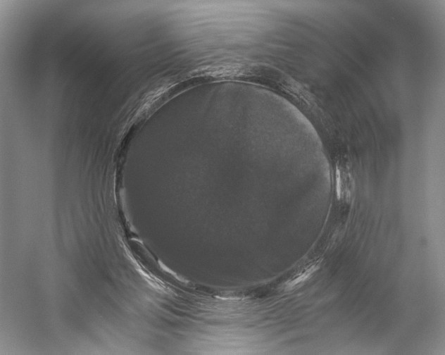X0000058760205200510171208