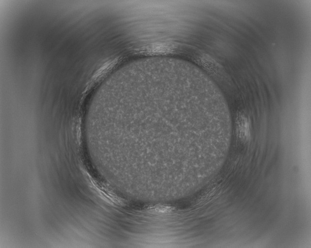 X0000058760206200510171208