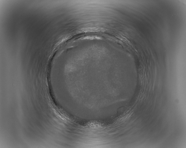 X0000058760207200510171208