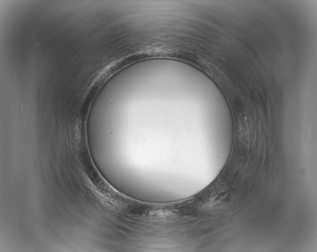 X0000058760208200510171208