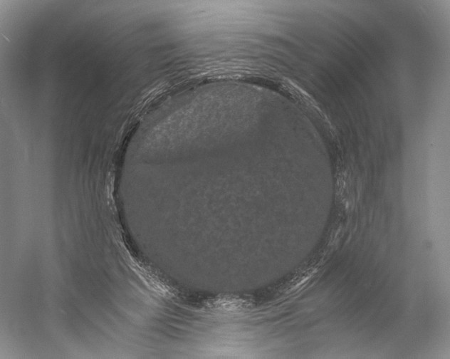 X0000058760209200510171208