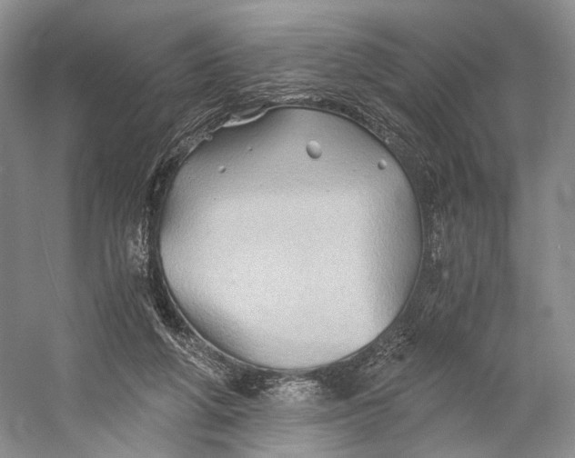 X0000058760210200510171208