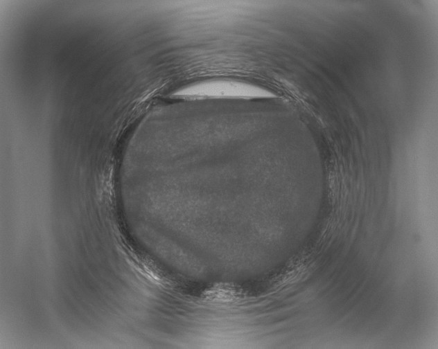 X0000058760211200510171208