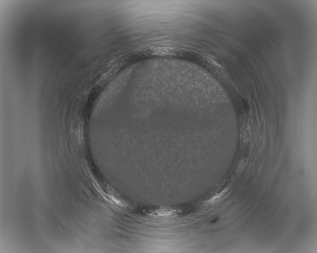 X0000058760213200510171208