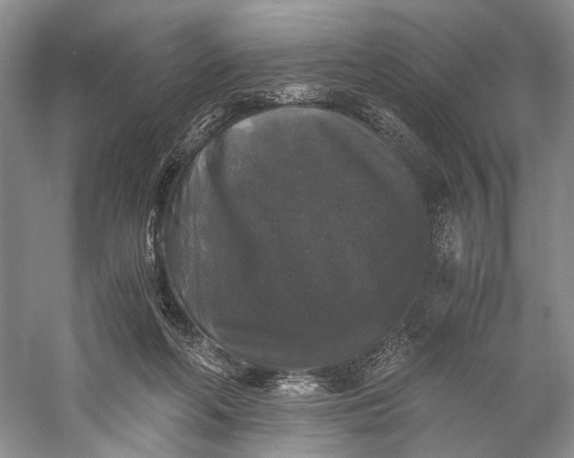 X0000058760214200510171208