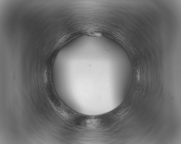 X0000058760216200510171208