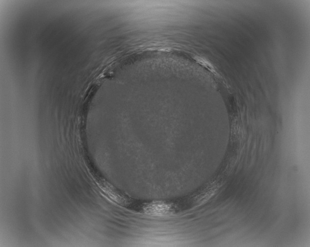 X0000058760217200510171208