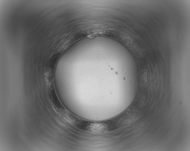 X0000058760218200510171208