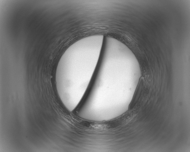 X0000058760221200510171208