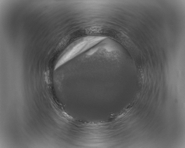 X0000058760224200510171208