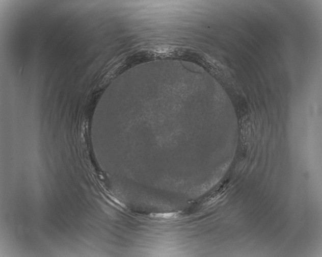 X0000058760225200510171208