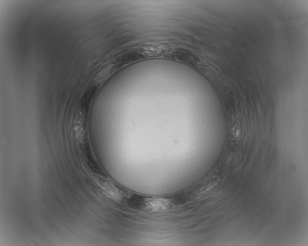 X0000058760226200510171208