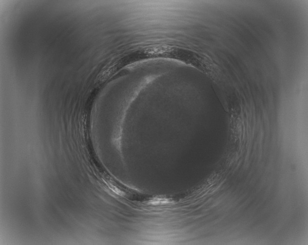 X0000058760227200510171208