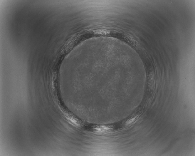 X0000058760229200510171208