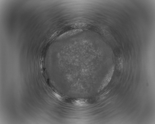 X0000058760232200510171207