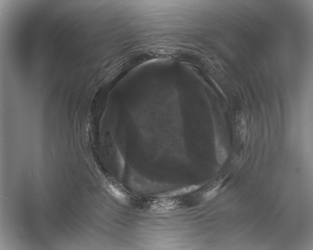 X0000058760235200510171207