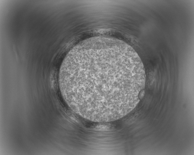 X0000058760236200510171207