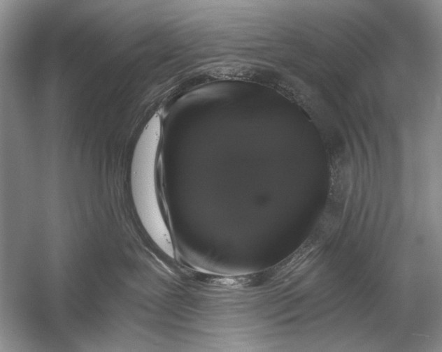 X0000058760239200510171207