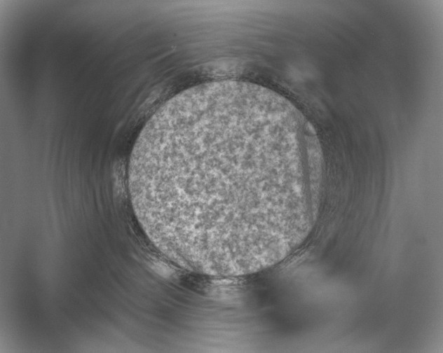 X0000058760240200510171207
