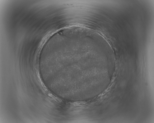 X0000058760241200510171206