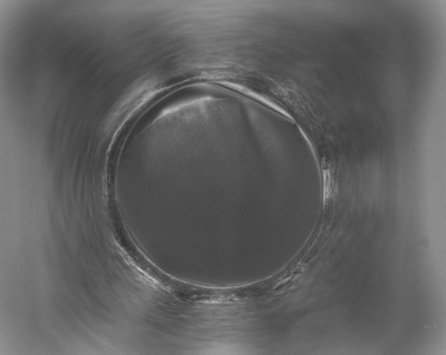 X0000058760243200510171207