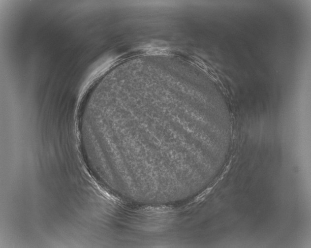 X0000058760245200510171207