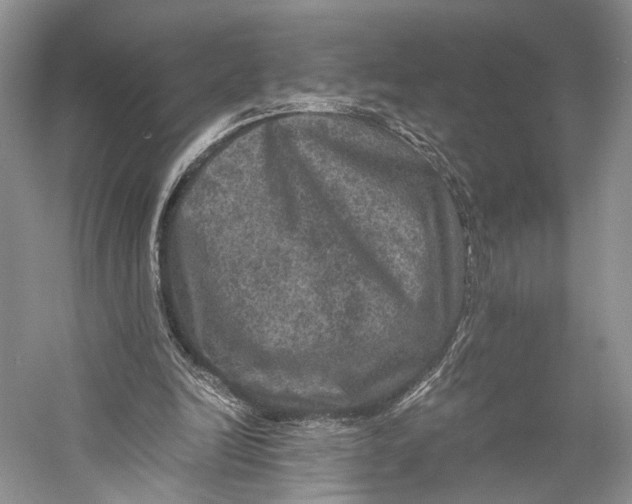 X0000058760246200510171207