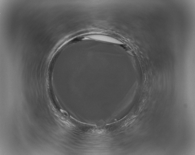 X0000058760247200510171207