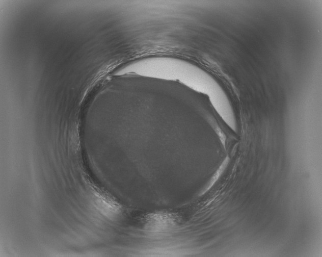 X0000058760250200510171207
