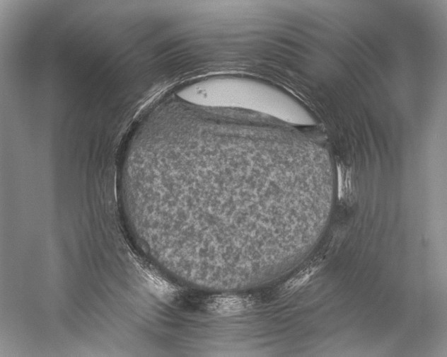 X0000058760253200510171207