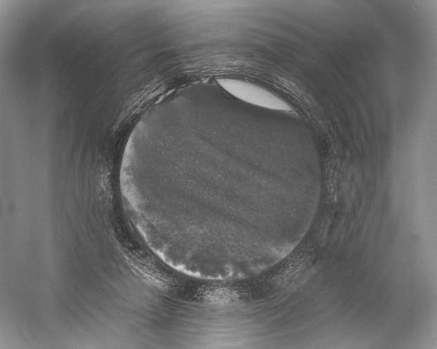 X0000058760258200510171207