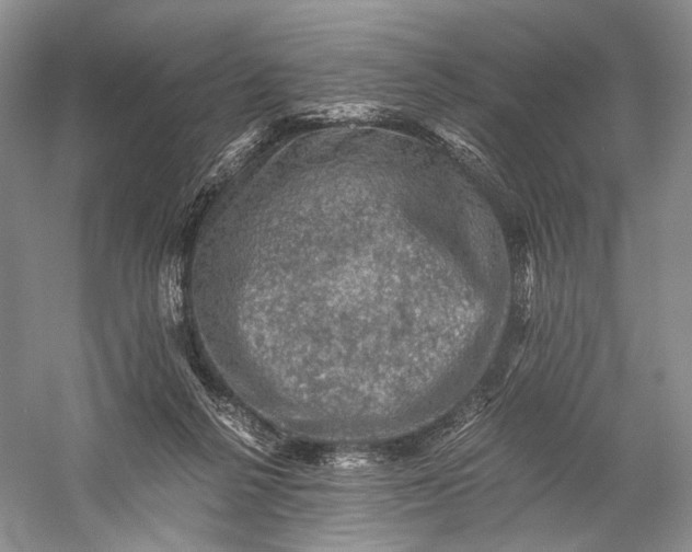 X0000058760264200510171207