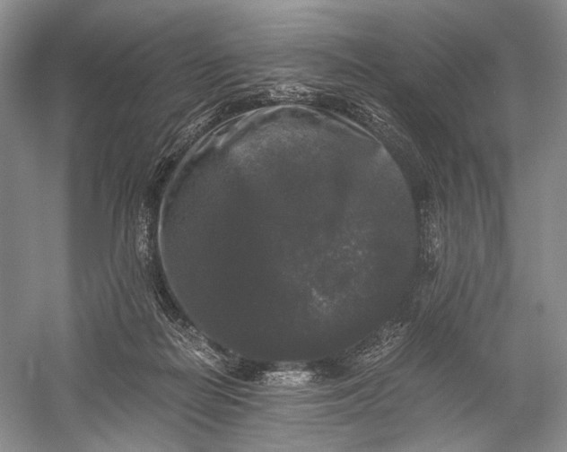 X0000058760266200510171207